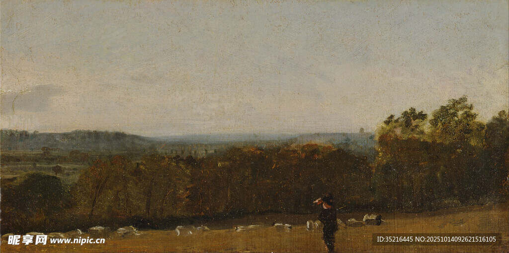 田野中的孤独身影