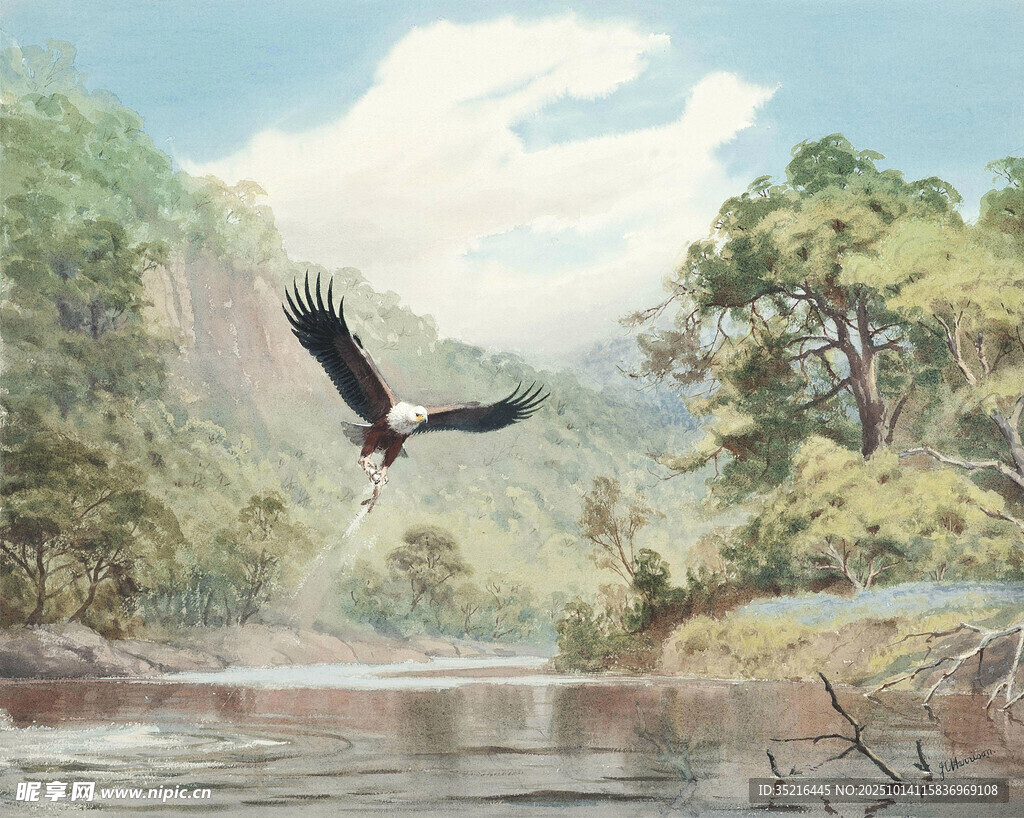 河畔雄鹰展翅飞翔