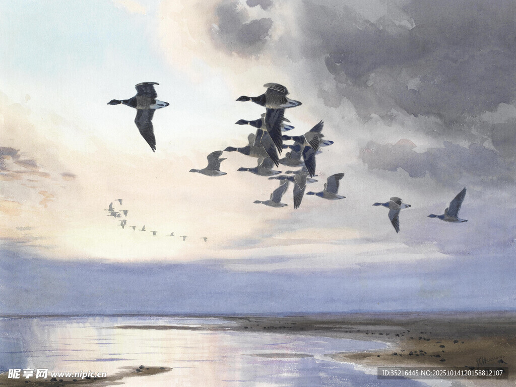 群鸟翱翔于水域上空