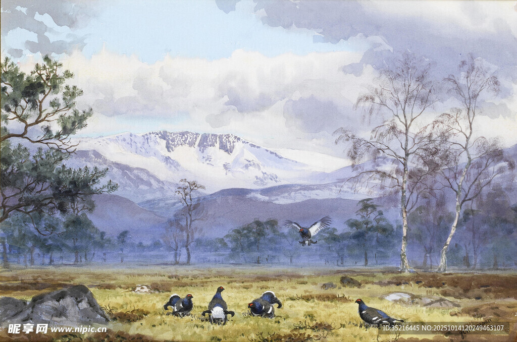 草原群鸟与远山风景图