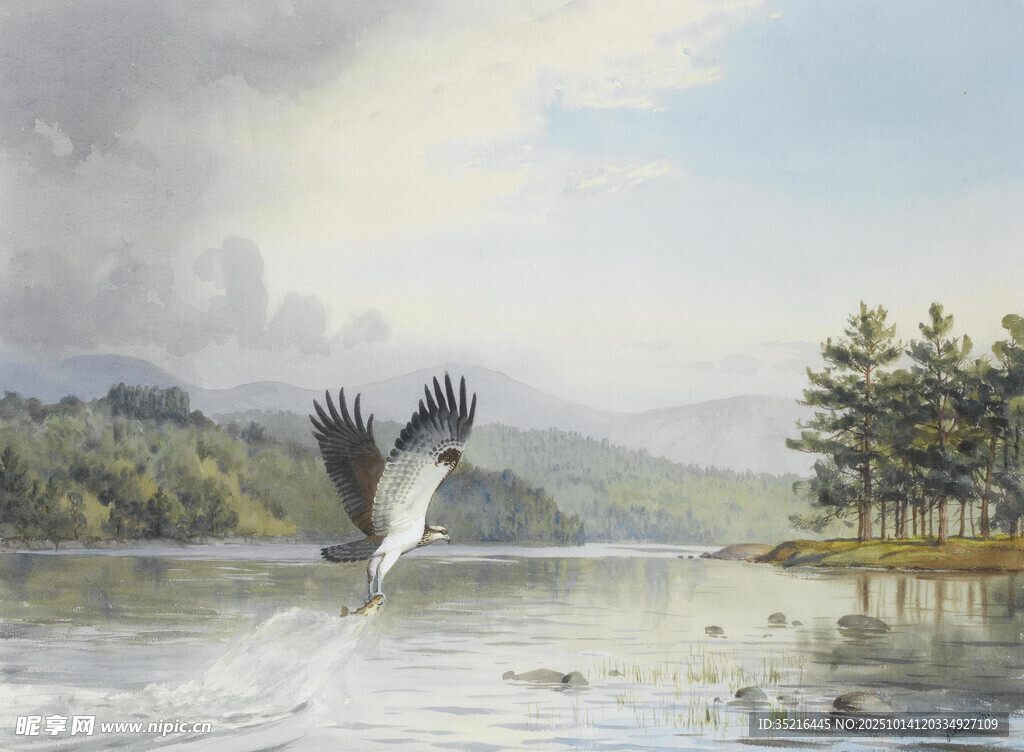 飞鸟掠湖景
