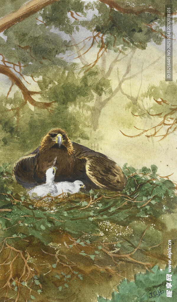 树上猴群的温馨时刻