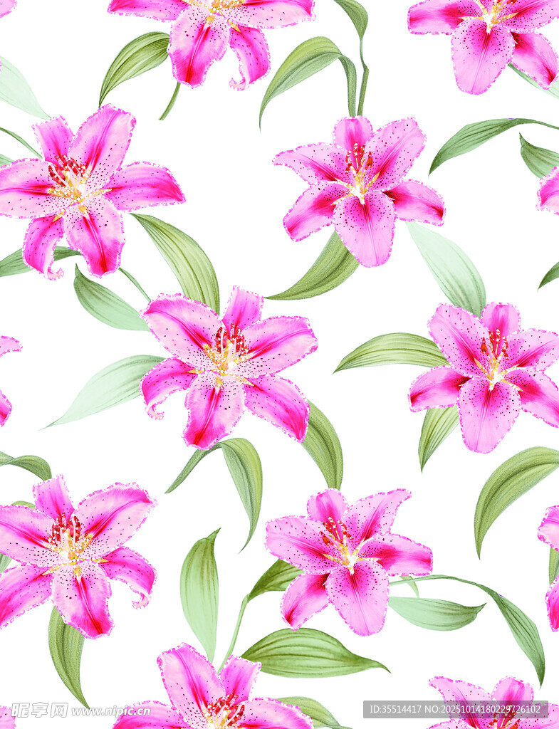 粉色百合花水彩花卉图案