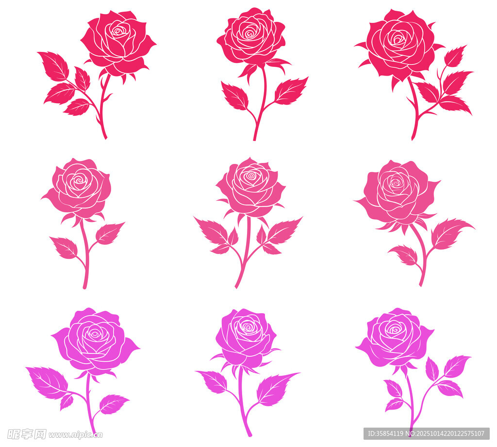 玫瑰花图案