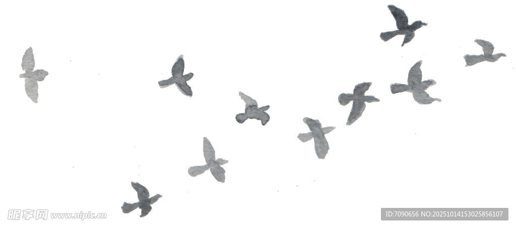 群鸟空中翱翔