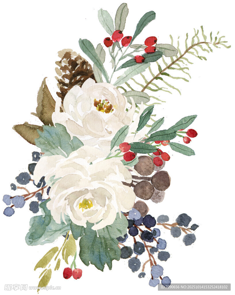 手绘花卉植物装饰插画