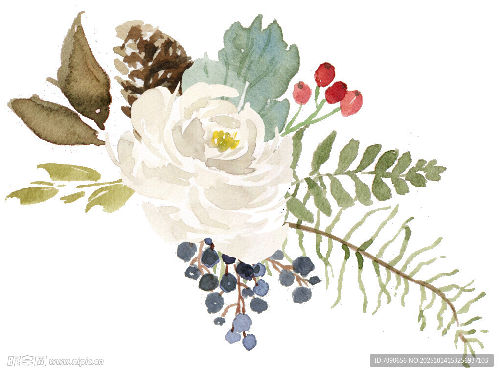 水彩花卉植物装饰插画