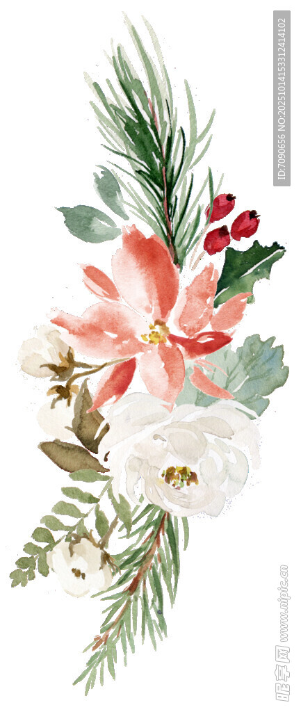 圣诞花卉装饰插画