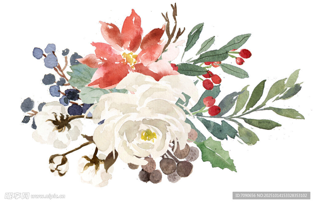 手绘花卉插画