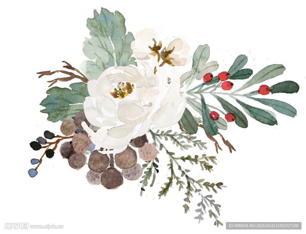 白色花卉植物装饰插画