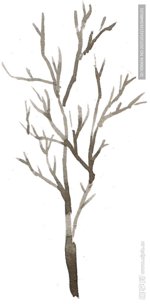 枯树枝插画
