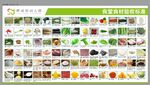 食堂食材验收标准