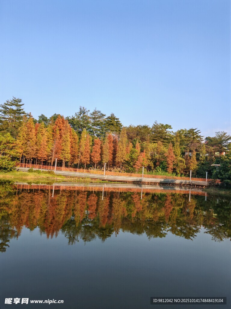 秋日湖畔美景