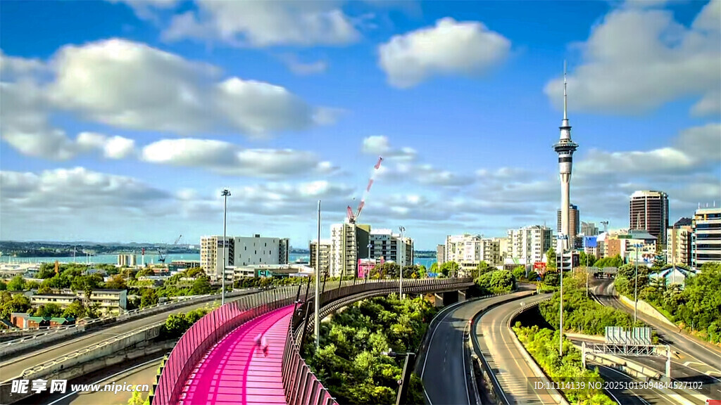 奥克兰城市中高架桥景观