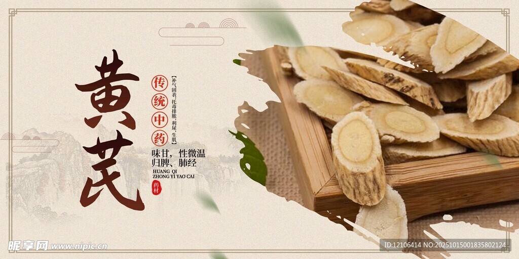 黄芪中药材展板
