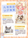 认识猫猫宠物宣传页