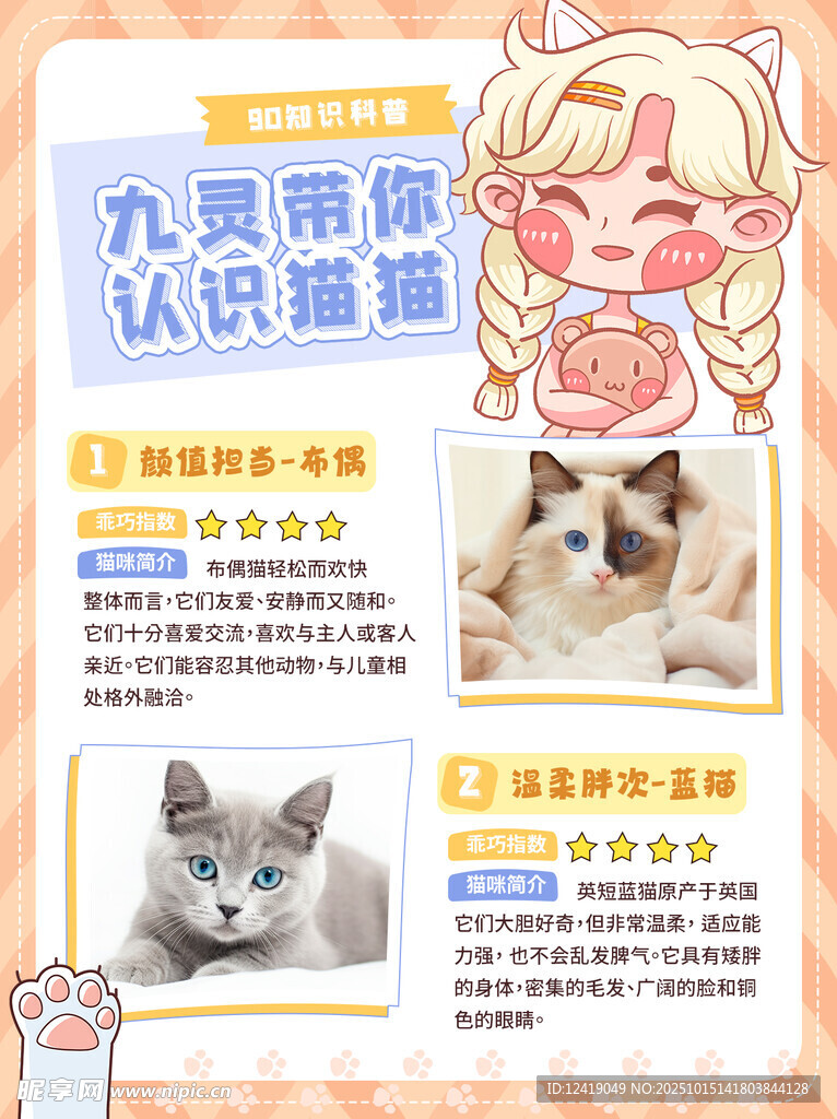 认识猫猫宠物宣传页