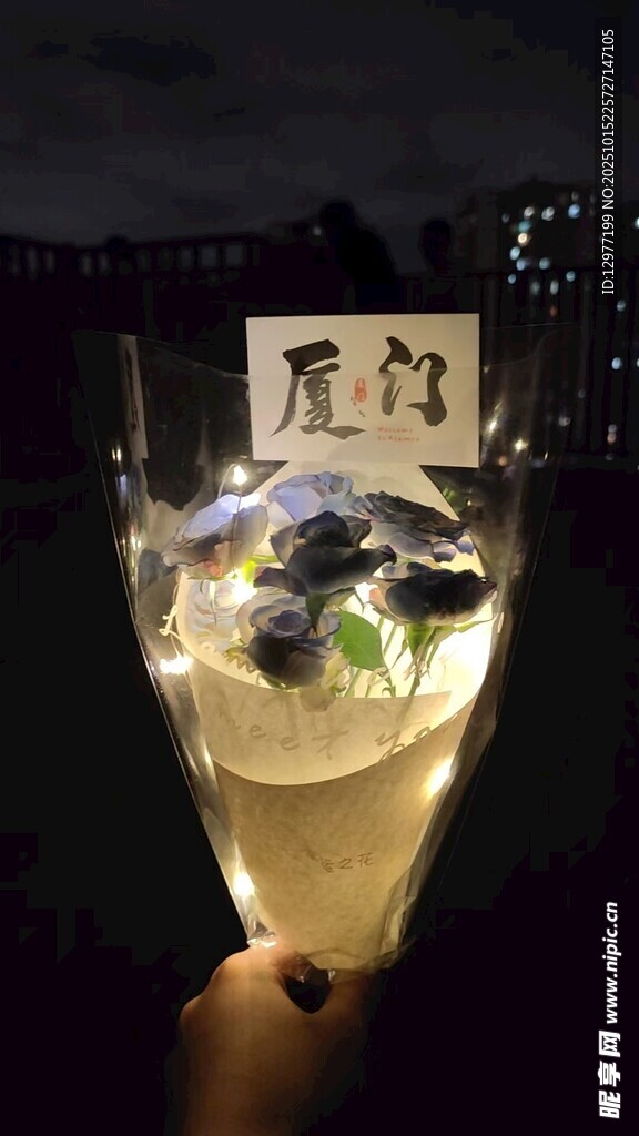 手持梦幻星空鲜花礼物