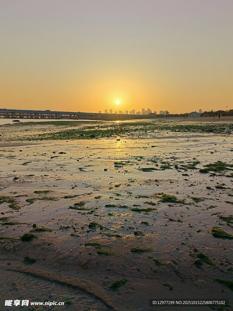 海边日落时分的滩涂景象