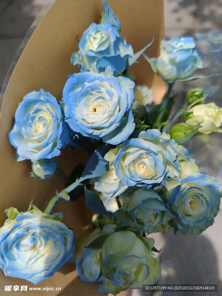 蓝白渐变玫瑰精美花束