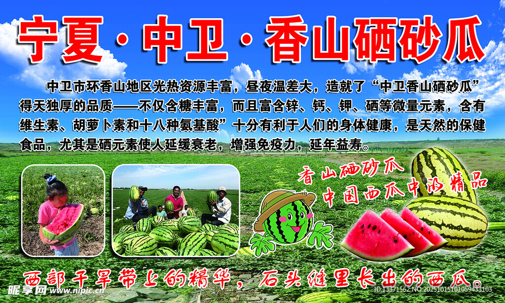 宁夏中卫香山硒砂瓜宣传图