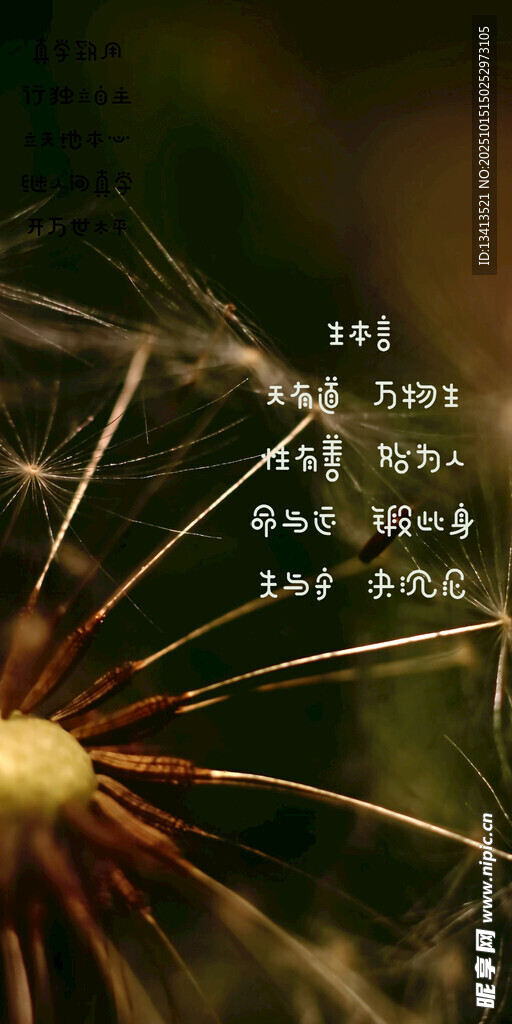 蒲公英种子 配文字壁纸