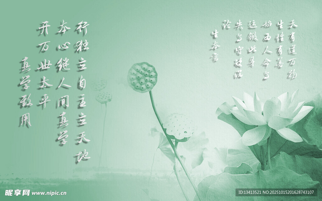 清新淡雅荷花诗意画面 古风壁纸