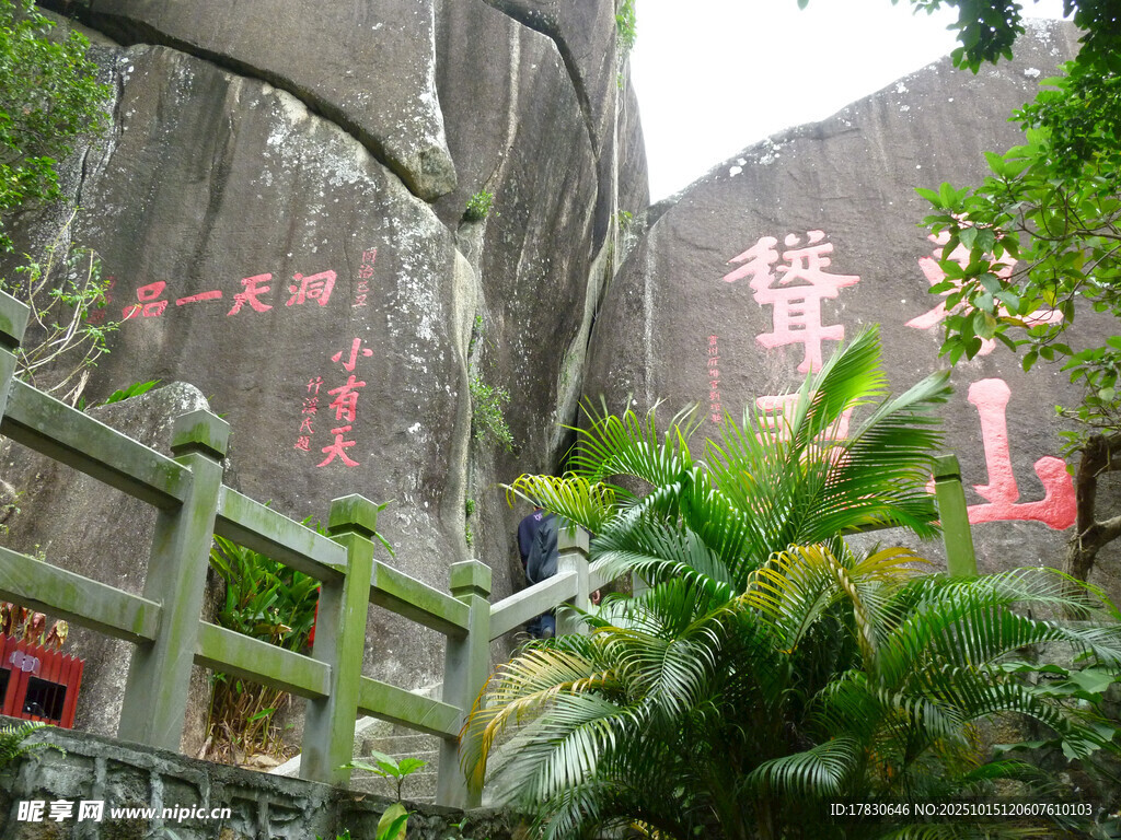 石壁刻字旁的绿植景观