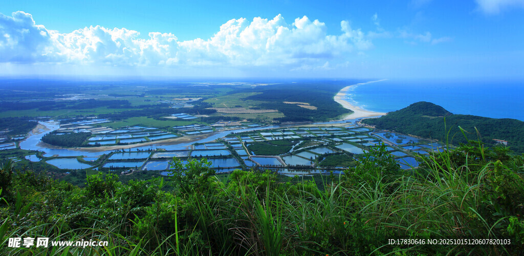 俯瞰山海间的绿色美景