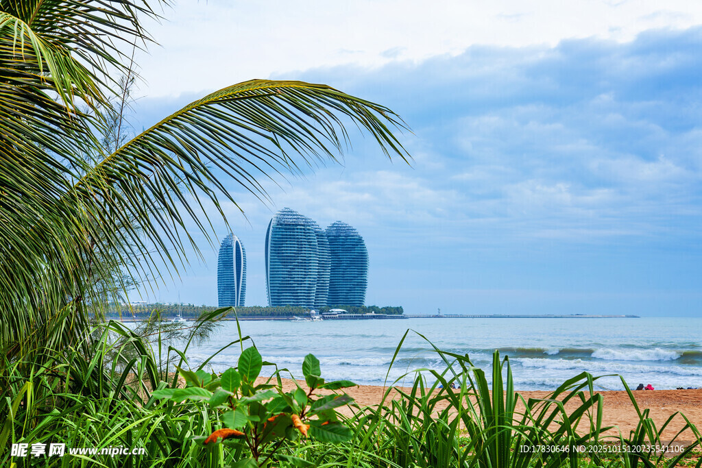 海滨绿植映衬下的城市建筑