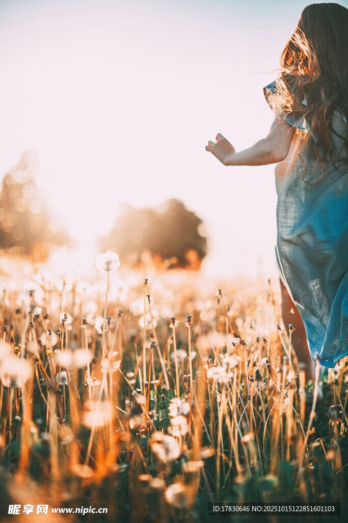 女孩于花海中悠然漫步