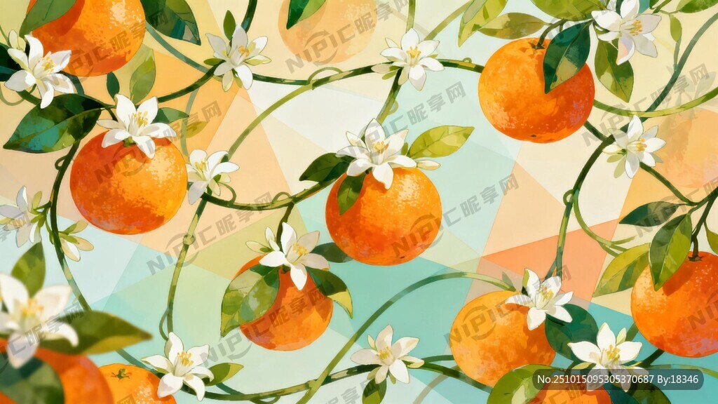 柑橘和绿叶藤白色的橙子花融为一