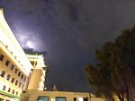 夜晚城市建筑与树木景观