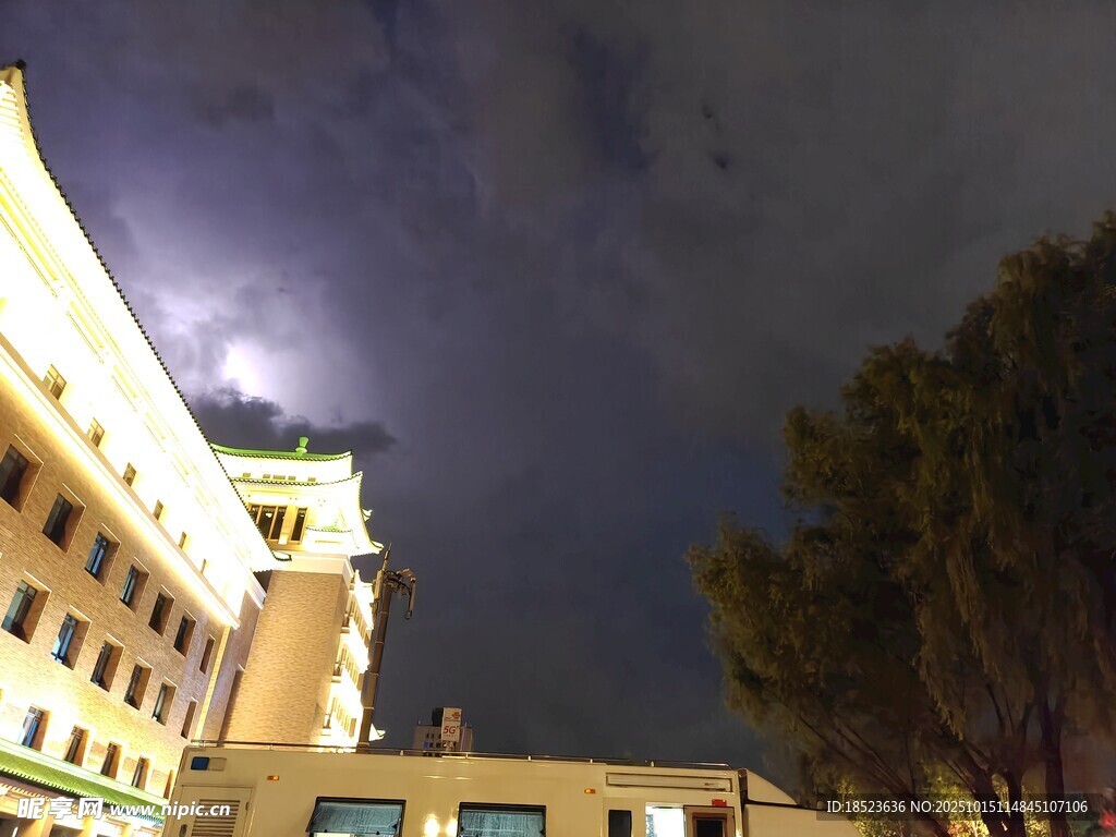 夜晚城市建筑与树木景观