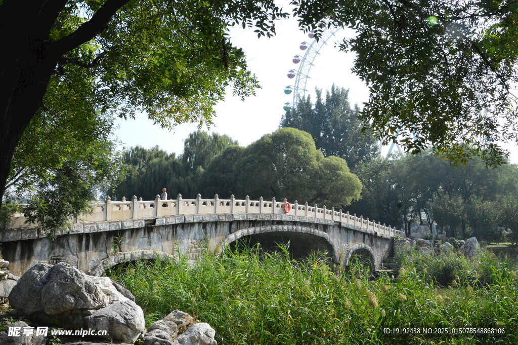 公园风景  