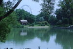 公园风景  