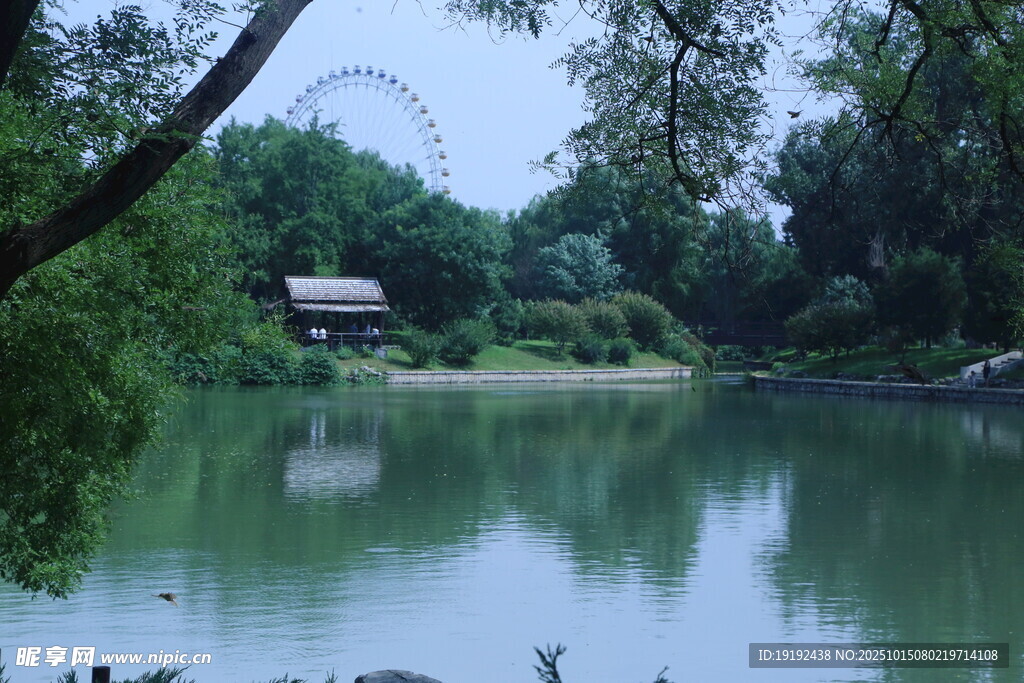 公园风景  