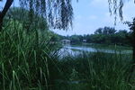 公园风景 