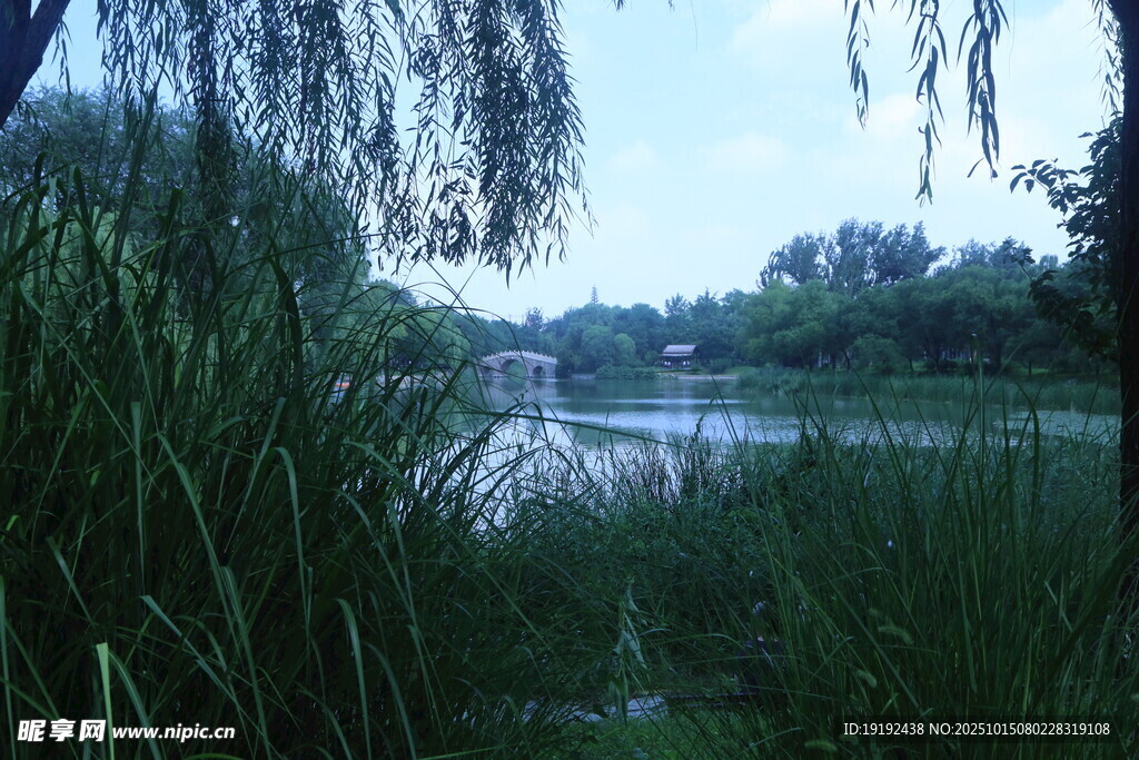 公园风景 
