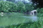 公园风景 