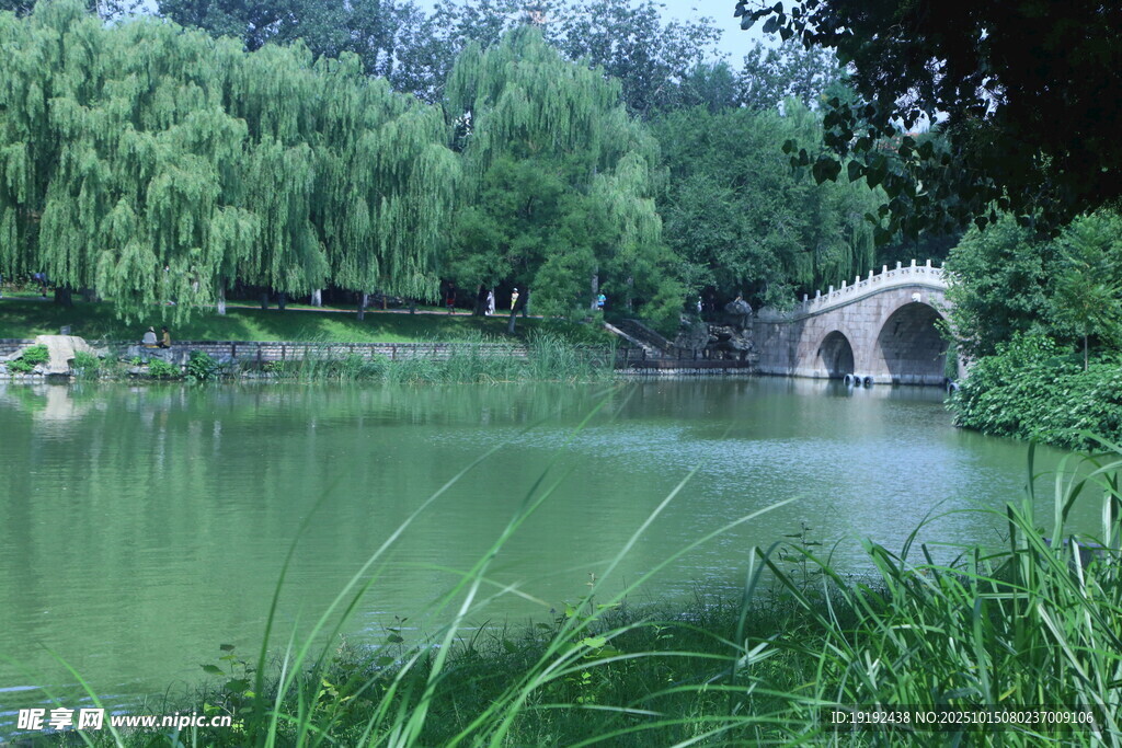 公园风景 