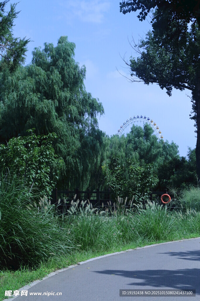 公园风景  