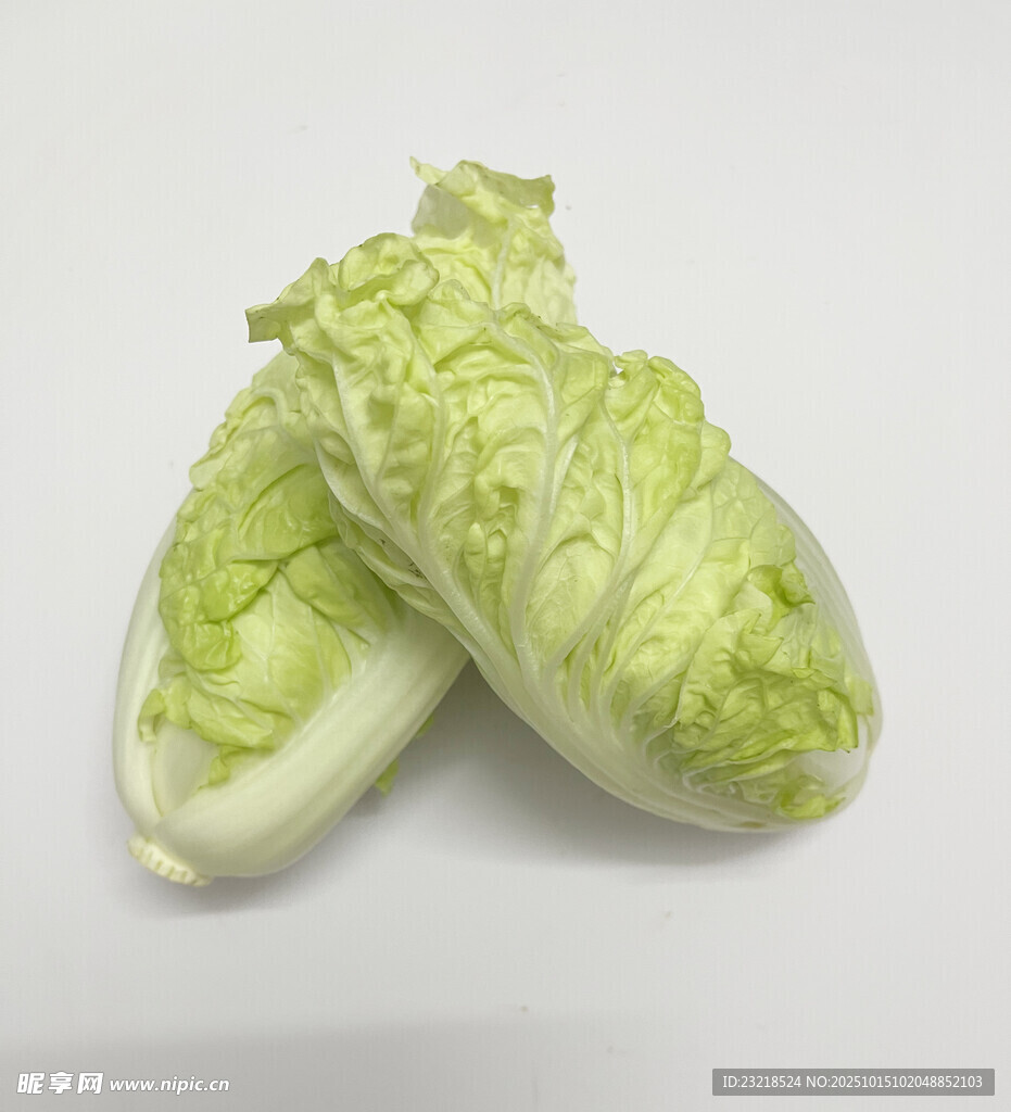 银丝白菜