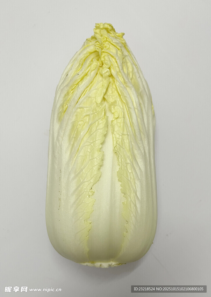 娃娃菜