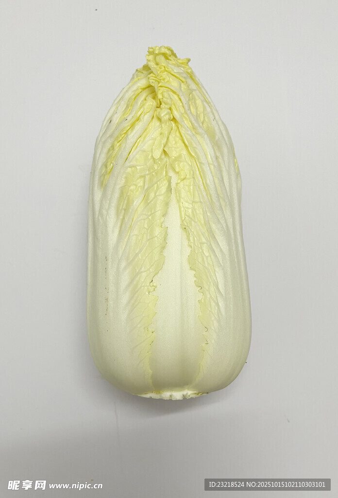 白菜