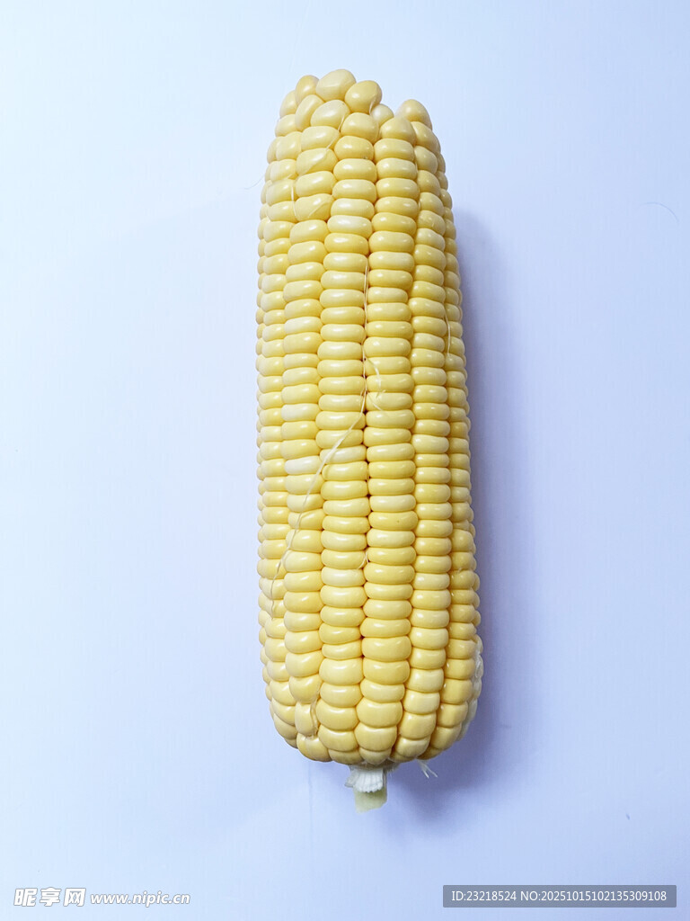 玉米