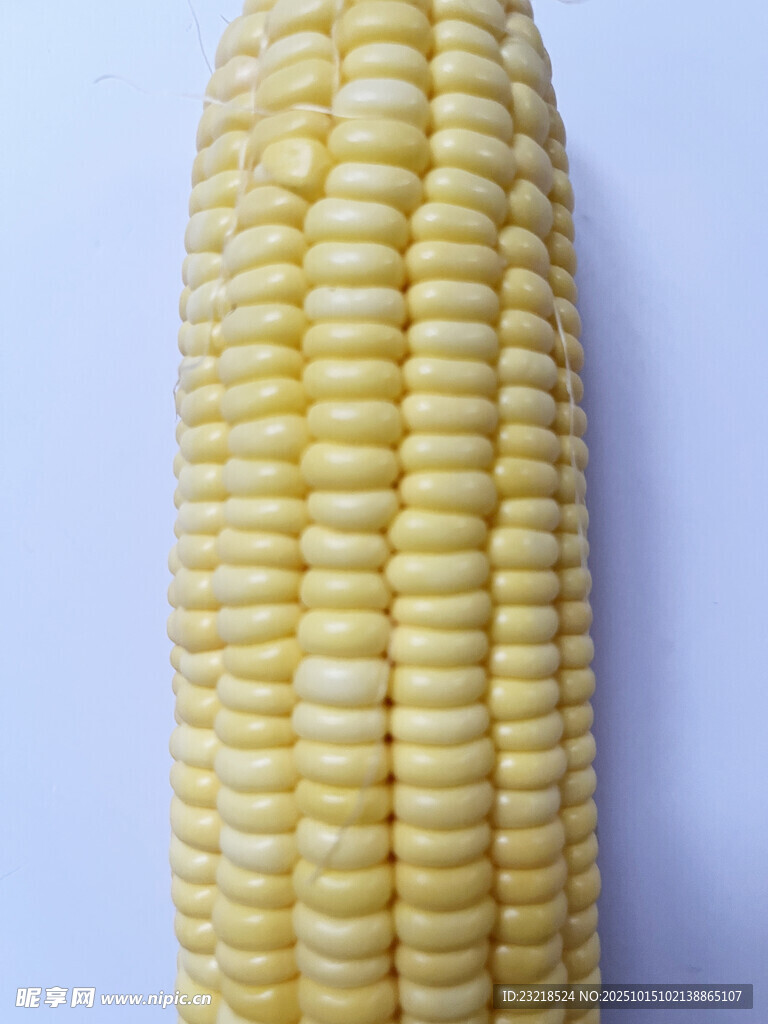 玉米