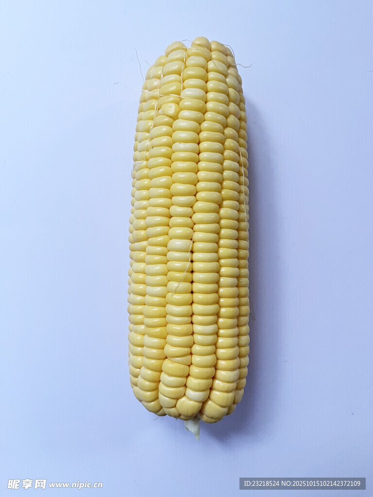 玉米