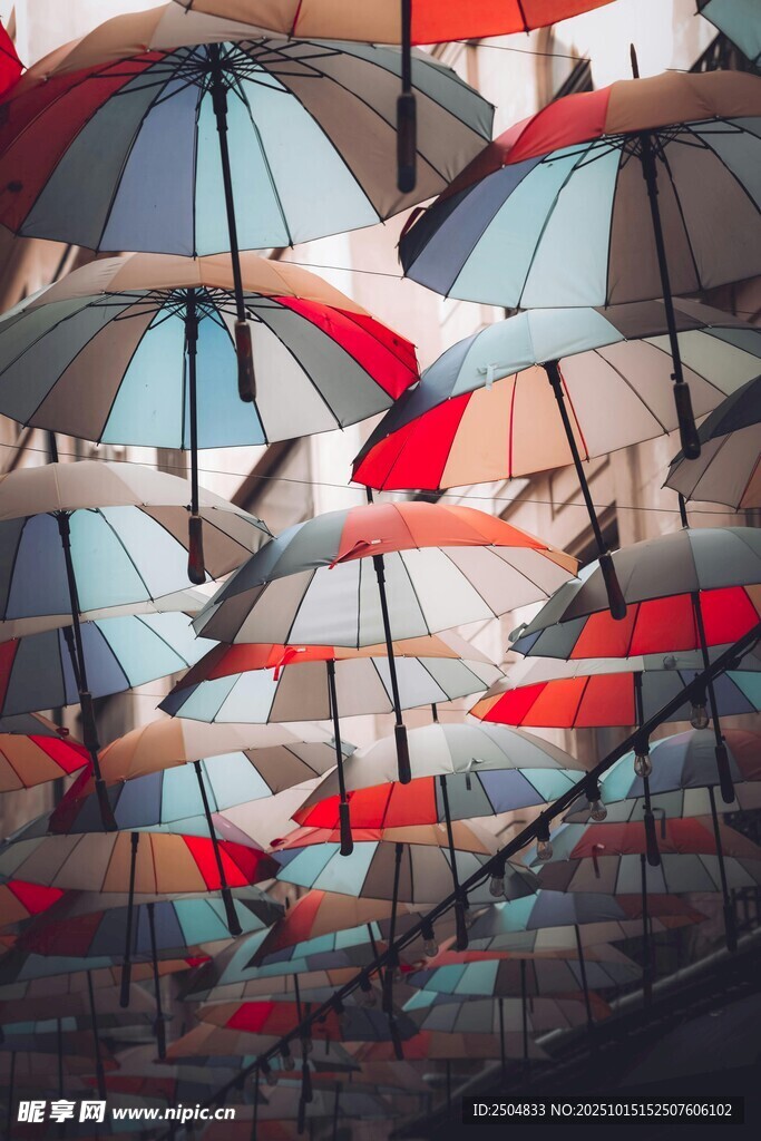 多彩雨伞装点的独特场景