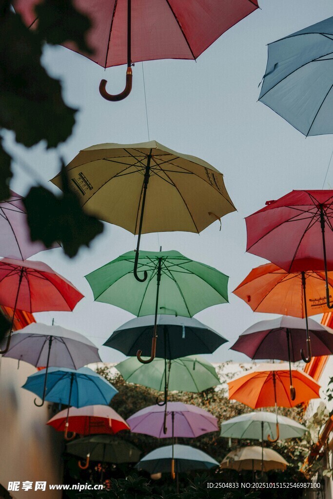 多彩雨伞悬挂空中景观